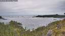 ./images/calvert/foggy-cove/20260603/foggy-cove20260603_141001M.jpg