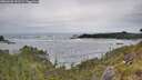 ./images/calvert/foggy-cove/20260603/foggy-cove20260603_141501M.jpg