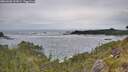 ./images/calvert/foggy-cove/20260603/foggy-cove20260603_142001M.jpg