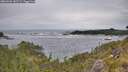 ./images/calvert/foggy-cove/20260603/foggy-cove20260603_142501M.jpg