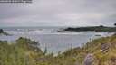 ./images/calvert/foggy-cove/20260603/foggy-cove20260603_143002M.jpg