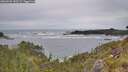 ./images/calvert/foggy-cove/20260603/foggy-cove20260603_143501M.jpg