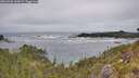 ./images/calvert/foggy-cove/20260603/foggy-cove20260603_144501M.jpg