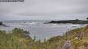 ./images/calvert/foggy-cove/20260603/foggy-cove20260603_145001M.jpg