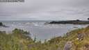 ./images/calvert/foggy-cove/20260603/foggy-cove20260603_151002M.jpg