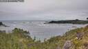 ./images/calvert/foggy-cove/20260603/foggy-cove20260603_151501M.jpg