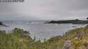 ./images/calvert/foggy-cove/20260603/foggy-cove20260603_154001M.jpg