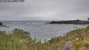 ./images/calvert/foggy-cove/20260603/foggy-cove20260603_155001M.jpg