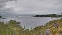 ./images/calvert/foggy-cove/20260603/foggy-cove20260603_160501M.jpg