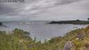 ./images/calvert/foggy-cove/20260603/foggy-cove20260603_161001M.jpg