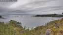 ./images/calvert/foggy-cove/20260603/foggy-cove20260603_162002M.jpg