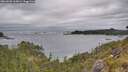 ./images/calvert/foggy-cove/20260603/foggy-cove20260603_163001M.jpg