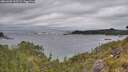 ./images/calvert/foggy-cove/20260603/foggy-cove20260603_163501M.jpg