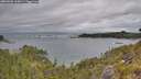 ./images/calvert/foggy-cove/20260603/foggy-cove20260603_165001M.jpg