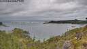 ./images/calvert/foggy-cove/20260603/foggy-cove20260603_170501M.jpg
