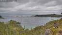 ./images/calvert/foggy-cove/20260603/foggy-cove20260603_171501M.jpg