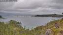 ./images/calvert/foggy-cove/20260603/foggy-cove20260603_172001M.jpg