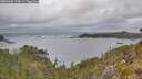 ./images/calvert/foggy-cove/20260603/foggy-cove20260603_173002M.jpg