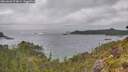 ./images/calvert/foggy-cove/20260603/foggy-cove20260603_174001M.jpg