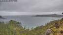 ./images/calvert/foggy-cove/20260603/foggy-cove20260603_180001M.jpg