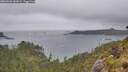 ./images/calvert/foggy-cove/20260603/foggy-cove20260603_182002M.jpg