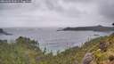 ./images/calvert/foggy-cove/20260603/foggy-cove20260603_184501M.jpg