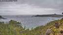 ./images/calvert/foggy-cove/20260603/foggy-cove20260603_190501M.jpg
