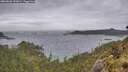 ./images/calvert/foggy-cove/20260603/foggy-cove20260603_191001M.jpg