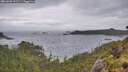 ./images/calvert/foggy-cove/20260603/foggy-cove20260603_191501M.jpg