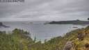 ./images/calvert/foggy-cove/20260603/foggy-cove20260603_194001M.jpg