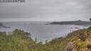 ./images/calvert/foggy-cove/20260603/foggy-cove20260603_194501M.jpg