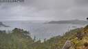 ./images/calvert/foggy-cove/20260603/foggy-cove20260603_202001M.jpg