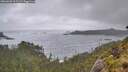 ./images/calvert/foggy-cove/20260603/foggy-cove20260603_202501M.jpg