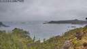 ./images/calvert/foggy-cove/20260603/foggy-cove20260603_204001M.jpg