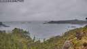 ./images/calvert/foggy-cove/20260603/foggy-cove20260603_204501M.jpg