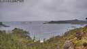./images/calvert/foggy-cove/20260603/foggy-cove20260603_205001M.jpg