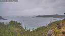 ./images/calvert/foggy-cove/20260603/foggy-cove20260603_205502M.jpg