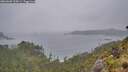 ./images/calvert/foggy-cove/20260603/foggy-cove20260603_210001M.jpg