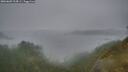 ./images/calvert/foggy-cove/20260603/foggy-cove20260603_214501M.jpg