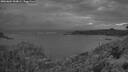 ./images/calvert/foggy-cove/20260604/foggy-cove20260604_044001M.jpg