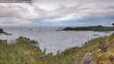 ./images/calvert/foggy-cove/20260604/foggy-cove20260604_055501M.jpg