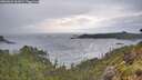 ./images/calvert/foggy-cove/20260604/foggy-cove20260604_062001M.jpg