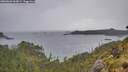./images/calvert/foggy-cove/20260604/foggy-cove20260604_063001M.jpg