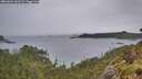 ./images/calvert/foggy-cove/20260604/foggy-cove20260604_063501M.jpg