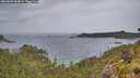 ./images/calvert/foggy-cove/20260604/foggy-cove20260604_064001M.jpg