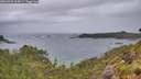 ./images/calvert/foggy-cove/20260604/foggy-cove20260604_064502M.jpg