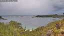./images/calvert/foggy-cove/20260604/foggy-cove20260604_071002M.jpg