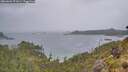 ./images/calvert/foggy-cove/20260604/foggy-cove20260604_072001M.jpg