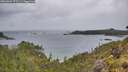 ./images/calvert/foggy-cove/20260604/foggy-cove20260604_072501M.jpg
