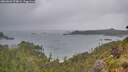 ./images/calvert/foggy-cove/20260604/foggy-cove20260604_074001M.jpg